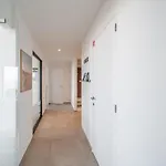 Casiola - Modern New With Pool Access And Parking Apartamento Ostende